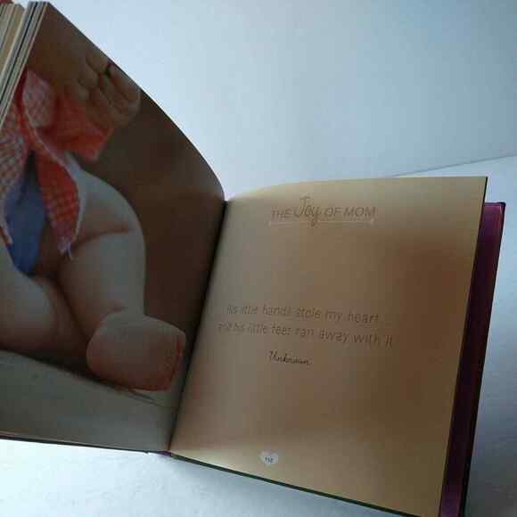 The Joy‎ Of Mom Celebrating a Mother's Love Book by Vicki Reece HC 2014 - Picture 10 of 13